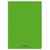 CONQUERANT C9 Cahier piqûre 24x32cm 96 pages 90g grands carreaux Seyès. Couverture polypropylène Vert