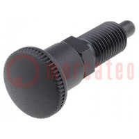 Indexing plungers; Thread: M12; Plating: black finish; 6mm