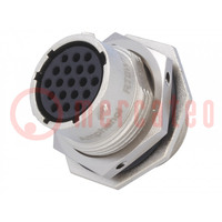 Connector: circular; socket,plug; PIN: 19; female; w/o contacts