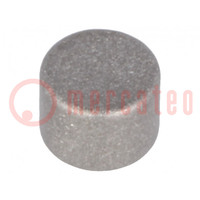 Magnete: fisso; samario, cobalto; H: 3mm; 2,5N; Ø: 4mm