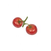 Artificial Tomatoes On The Vine - 13cm, Red