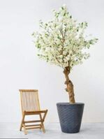 Luxury Artificial Silk Bespoke Cherry Tree Deluxe on Coffee Stem in Pot - 200cm, White