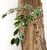 Artificial Silk Mini Ficus Exotica Spray FR - 75cm, Green, 55 leaves