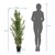 Kunstpflanze / Kunstbaum BAMBUS 165 cm Kunststoff grün hjh OFFICE