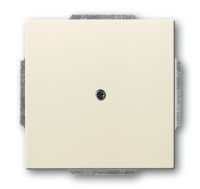 Busch-Jaeger 1710-0-3145 wall plate/switch cover Ivory