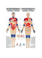 Rüdiger-Anatomie Phys II lam Plakat 50 x 70 cm