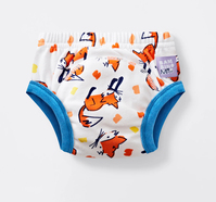 Bambino Mio TP2-3FUZ Unterhose Klassischer Slip Mehrfarbig