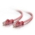 C2G Cat6 550MHz Snagless Patch Cable Pink 1m cavo di rete Rosa