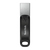 SanDisk SDIX60N-256G-GN6NE unità flash USB 256 GB 3.2 Gen 1 (3.1 Gen 1) Grigio, Argento