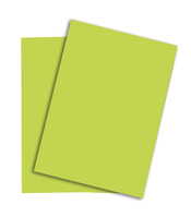 PAPYRUS Rainbow Papier FSC A4 88043110 leuchtend grün, 120g 250 Blatt