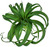 Hängepflanze Kinza; 23 cm (H); grün