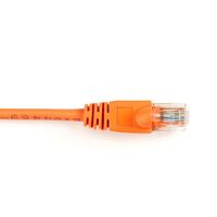 BBXCONN CAT6 PATCH CBL-UTP PVC SNAGLESS ORANGE 7 FT 2.1m Cat6, 2.1 m, Cat6, RJ-45, RJ-45 Netzwerkkabel