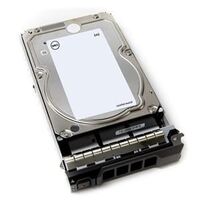 12TB 7.2K RPM NLSAS 12Gbps Internal Hard Drives