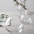 LEONARDO 019007 Vase Vase mit runder Form Glas Transparent