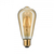 Paulmann Vintage ampoule LED Or 1700 K 2,5 W E27