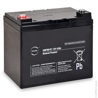 Unité(s) Batterie plomb AGM NX 33-12 General Purpose 12V 33Ah M6-F