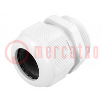 Cable gland; PG29; IP68; polyamide; grey