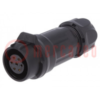 Connector: circular; plug; size 16; 02; female; PIN: 7; for latch
