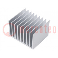 Heatsink: extruded; grilled; natural; L: 50mm; W: 61mm; H: 40mm; raw