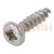 Schroef; 4x16; Kop: cilinder; Pozidriv; PZ2; staal; zink; SPAX®