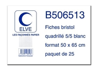 ELVE B506513 25 FICHES BRISTOL 190 G BLANC