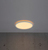 Nordlux Oja 29 plafondverlichting LED 18 W E