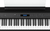 Roland FP-60X-BK Digitales Piano 88 Schlüssel Schwarz