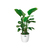 elho 8711904142322 jardinière Blanc Plastique