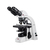 Microscopio biológico MOTIC BA-310 LED, binocular, cable EU