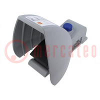 Switch: foot; Stabl.pos: 1; SPST-NO x2 + SPST-NC x2; 4A/230VAC