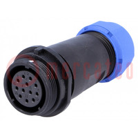 Plug; SP21; female; PIN: 12; IP68; 7÷12mm; 5A; soldering; for cable