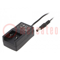 Power supply: switched-mode; mains,plug; 12VDC; 0.5A; 6W; 82%