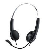Genius HS-220U Ultra Lightweight Headset with Mic USB Connection Plug and Play Adjustable Headband and microphone with In-line Volume Control Black