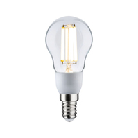 Paulmann 29130 LED-lamp 2,5 W E14 A