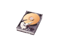 Lexmark 13N1530 internal hard drive 40 GB IDE/ATA
