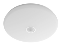 Philips Functional Mauve Ceiling Light 16 W