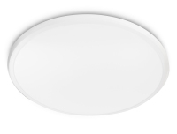 Philips Functional Ceiling light 318153116