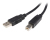 StarTech.com Câble USB 2.0 A vers B de 1 m - M/M