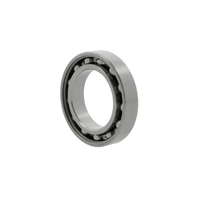 Deep groove ball bearings 6301 -Z