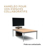 Kaméléo/XPO - Support VESA, 200-600 pour 1 écran,
