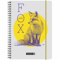 Schülerkalender 2024/2025 A5 1 Woche/2 Seiten Fox