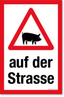 Warndreieck Mit Schwein - Auf Der Strasse, Schweine Schild, 30 x 45 cm, aus Alu-Verbund, mit UV-Schutz