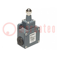 Limit switch; stainless steel sphere Ø12,7mm; NO + NC; 10A; IP67