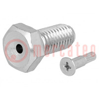 Pin; M12; Plunger mat: steel; Plating: zinc; Thread len: 25mm