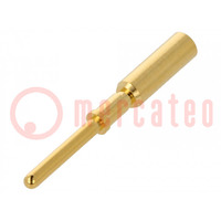 Contact; male; gold-plated; 2.5mm2; crimped; M12 Power connectors