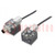 Kabel-adapter; DIN 43650 wtyk x2,M12 gniazdo żeńskie; PIN: 3