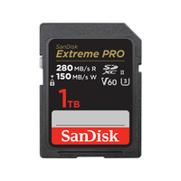 SanDisk SDSDXEP-1T00-GN4IN memory card 1 TB SDXC UHS-II Class 10