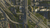 GAME Cities: Skylines II Mehrsprachig PC