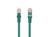 Lanberg PCF6-10CC-3000-G networking cable Green 30 m Cat6 F/UTP (FTP)