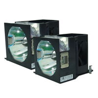 PANASONIC PT-DW7000U Projector Lamp Module - Dual (2) Lamp Set (Compatible Bulb
